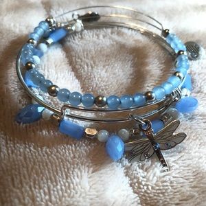 Alex and Ani 2017 Dragonfly Set